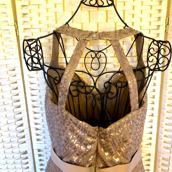 ✅ Angelina Faccenda taupe sequined formal maxi dress - Picture 7 of 16